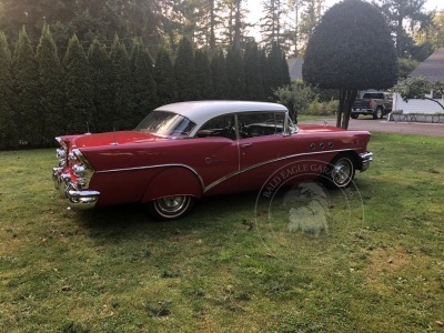 Veterán Buick Special 1955