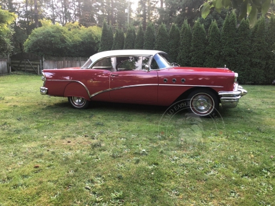 Veterán Buick Special 1955