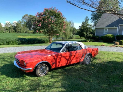 Veterán Ford Mustang 1965