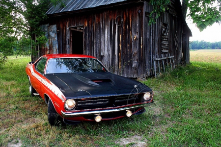 Veterán Plymouth Cuda AAR 1970